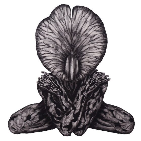 05-Nadiah-Bamadhaj-_Clitoria-Precocious-2019-Charcoal-and-collage-on-paper-137-x-132-cm.-Image-from-Richard-Koh-Fine-Art