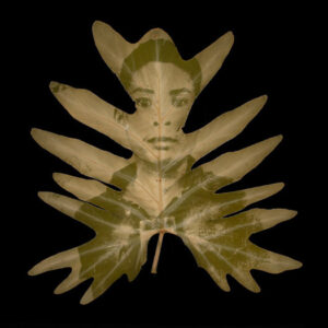 Binh-Danh-‘found-portrait_-man-28-2005-Chlorophyll-print-and-resin-31.8-x-31.8-cm.-Image-from-the-artists-website-1