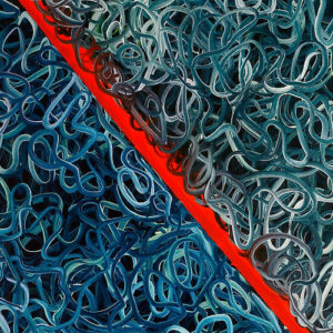 Duong Thuy Duong AWDB profile feature image