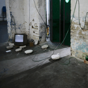 Duong Thuy Nguyen feature photo