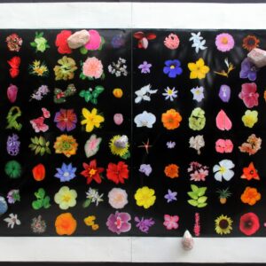 Entang Wiharso, 'My Garden Is A Refuge Against These Fears', 2020, Car paint on aluminium, 166 x 326 x 27.5 cm, Image courtesy of Marc Straus Gallery