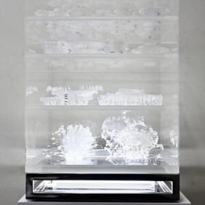 Grace Tan, Exotic Trophies, 2020, Free standing stainless steel and acrylic stacked structure with LED light and objects made from polyamide and polypropylene tag pins and nickel plated brass tubes, H54 x W40 x D40 cm. Photography by Lim We