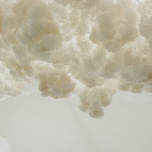 Grace Tan, 'refuge', 2013, Polypropylene loop pins, nylon cable ties and monofilaments, Dimensions variable, Image courtesy of FOST Gallery, Photographed by Caleb Ming