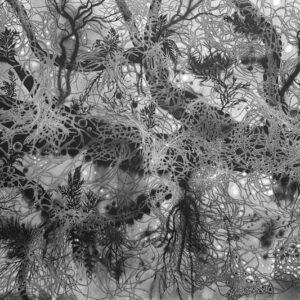 Imhathai-Suwatthanaslip-‘Mother-of-Nature-No.-1-2021-Monoprint-acrylic-and-charcoal-on-canvas60-x-90-cm.-Image-from-Galerie-Arnaud-Lebecq