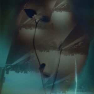 Lavender-Chang-04-10-2016-photograph-Image-from-the-artists-website