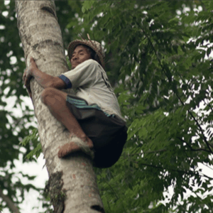 Leyla-Stevens-‘Wong-Samar-2016-HD-digital-video-stereo-sound-517-minutes.-Image-from-John-Fries-Award