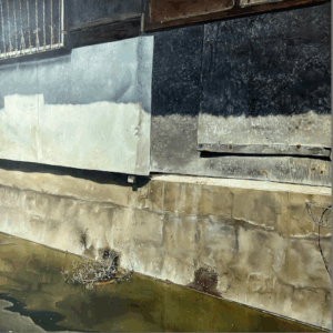 Marina Cruz, ‘Wall Dances Water and Crawlers, Light and Shadows' 2023, oil on canvas, 121.9 x 121.9 cm. Image courtesy of Mind Set Art Center