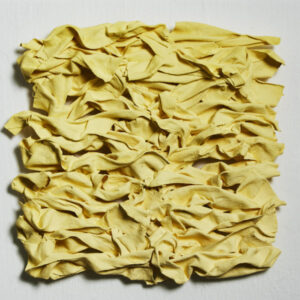 Nelson Lim artist profile thumbnail