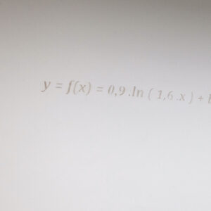 Nguyen Huy An, 'Study of the Fluctuation of a Shadow', 2014, dust, termite body, and artist book. Image from 14b