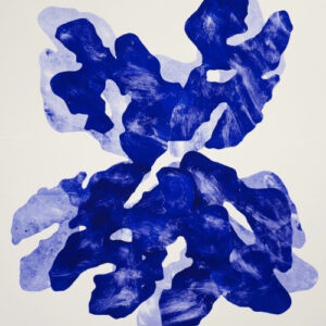 Nicole Coson AWDB artist profile feature image