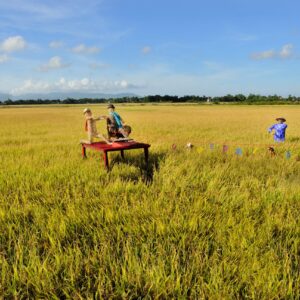 Phan Quang, 'System 2011', 2011, digital print on paper mounted on aluminium, 90 x 150 cm. Image from Nguyen Art Foundation