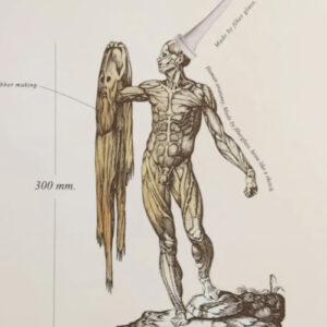 Phornphop Sittiruk AWDB artist profile feature image