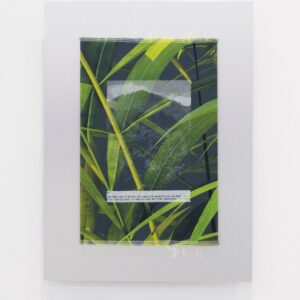 Priyageetha Dia, '_///PlantationRender01.png', 2022, white ink, bitmap screenprint, sublimation print on satin, brushed aluminium backing, 39.5 x 31 cm. Image from Yeo Workshop
