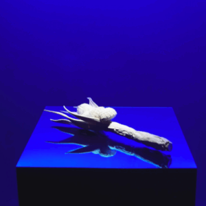 Saroot Supasuthivech feature photo