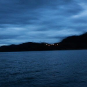 Sim Chi Yin AWDB artist profile feature image