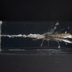 The Propeller Group, 'Ak46 vs M16', 2015, fragments of AK 47 and M16 bullets, ballistics gel, custom vitrine, digital video, 18.1 x 42.9 x 18.4 cm. Image from James Cohan