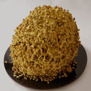 Truong Cong Tung AWDB artist profile feature image