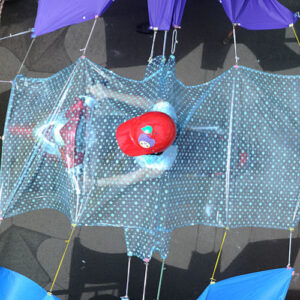 UuDam Tran Nguyen AWDB artist profile feature image