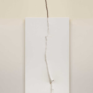 Woong Soak Teng, 'trying to straighten a branch #5', 2022, canvas branch, white yarn, pine wood, 82.5 x 30.48 x 3.5 cm. Image from Artsy