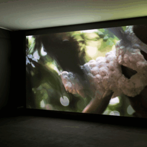 Yeo Siew Hua feature photo